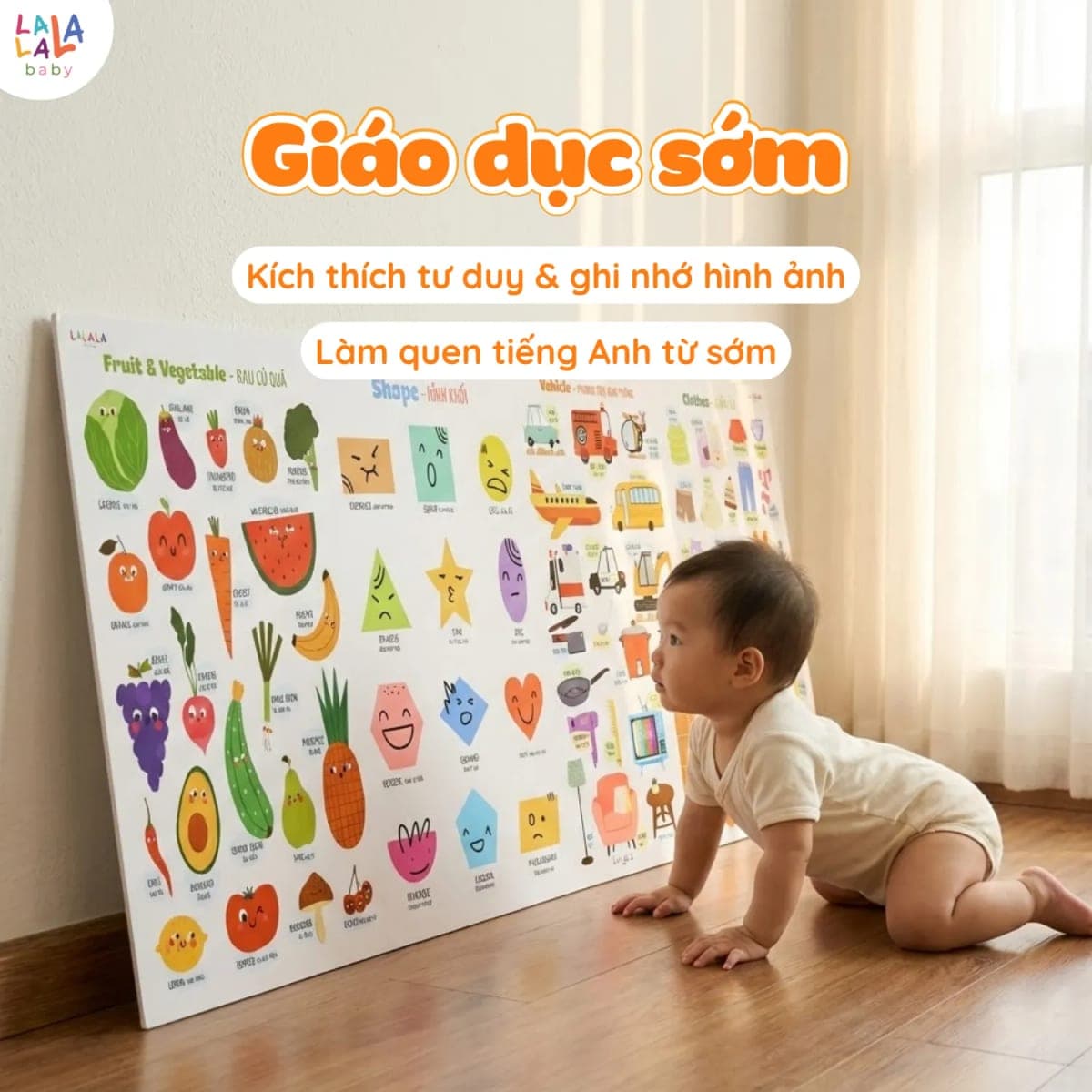 Bảng gấp thông thái song ngữ — hơn 18 chủ đề — ảnh 3