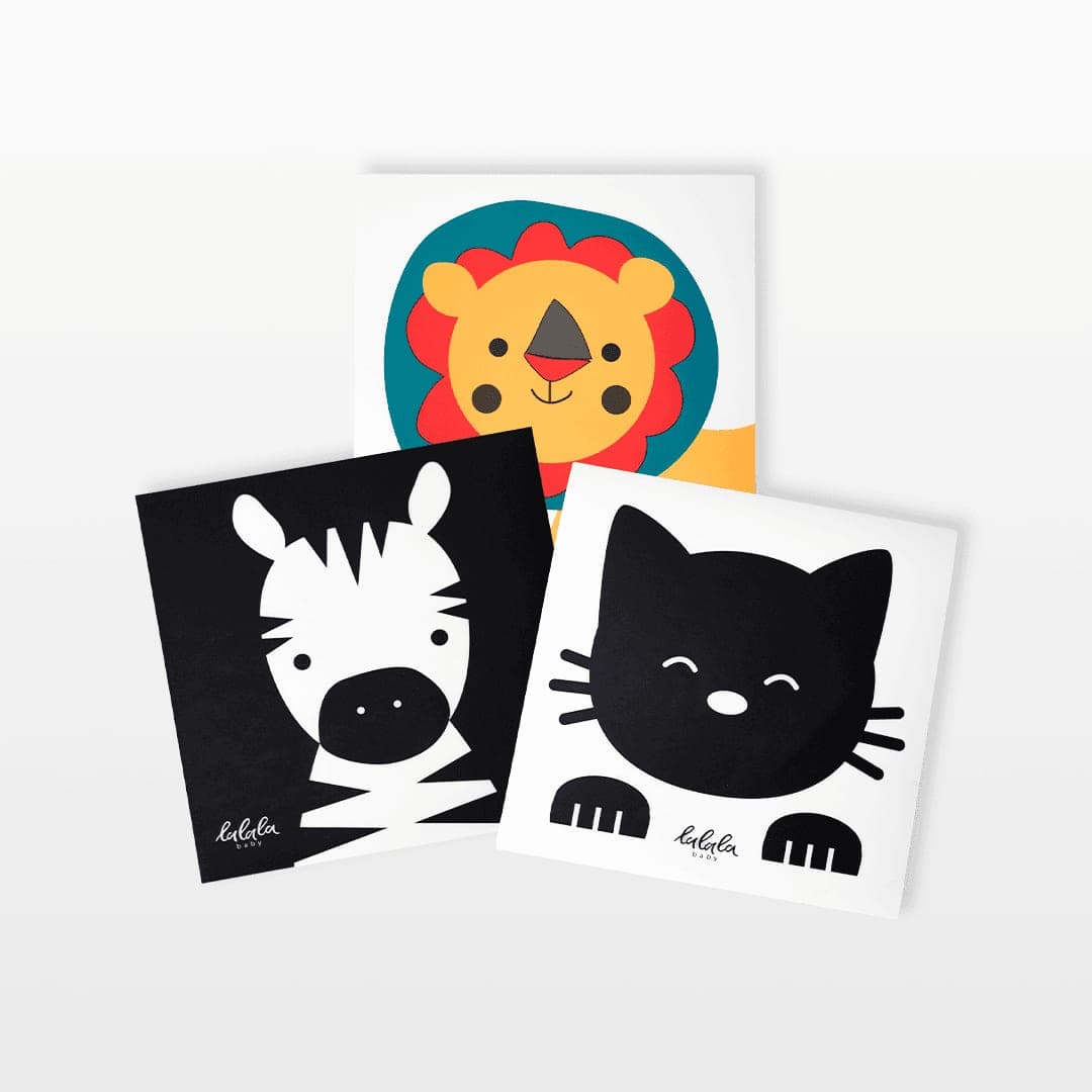 Trọn bộ 24 thẻ decal kích thích thị giác cho bé — ảnh 1
